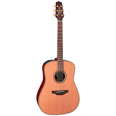 Takamine 2020 deals limited edition